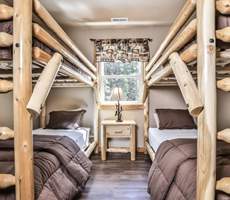 Raccoon bunkbed 3